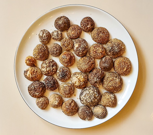 Мухоморы: Не только Красивые, но и Полезные