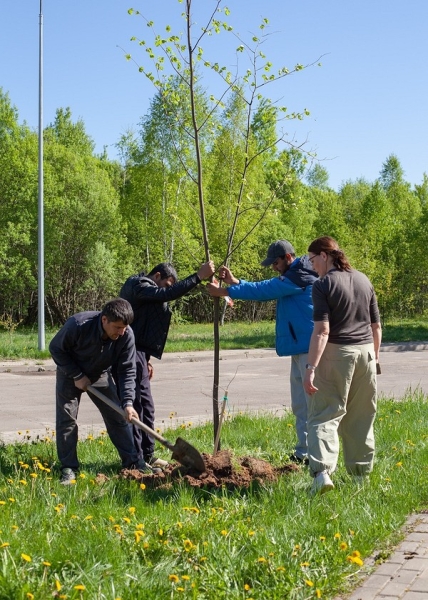 В Тарусе благоустроили сквер вдоль Центра Культурного Развития