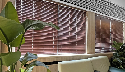 Как выбрать жалюзи на окна: все, что нужно знать для правильного выбора