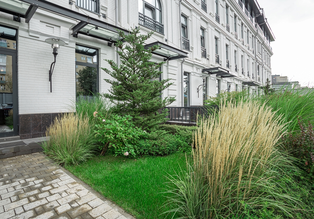 Вертикальное озеленение: от живых стен до подвесных садов