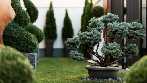 Зачем нужен ландшафтный дизайн