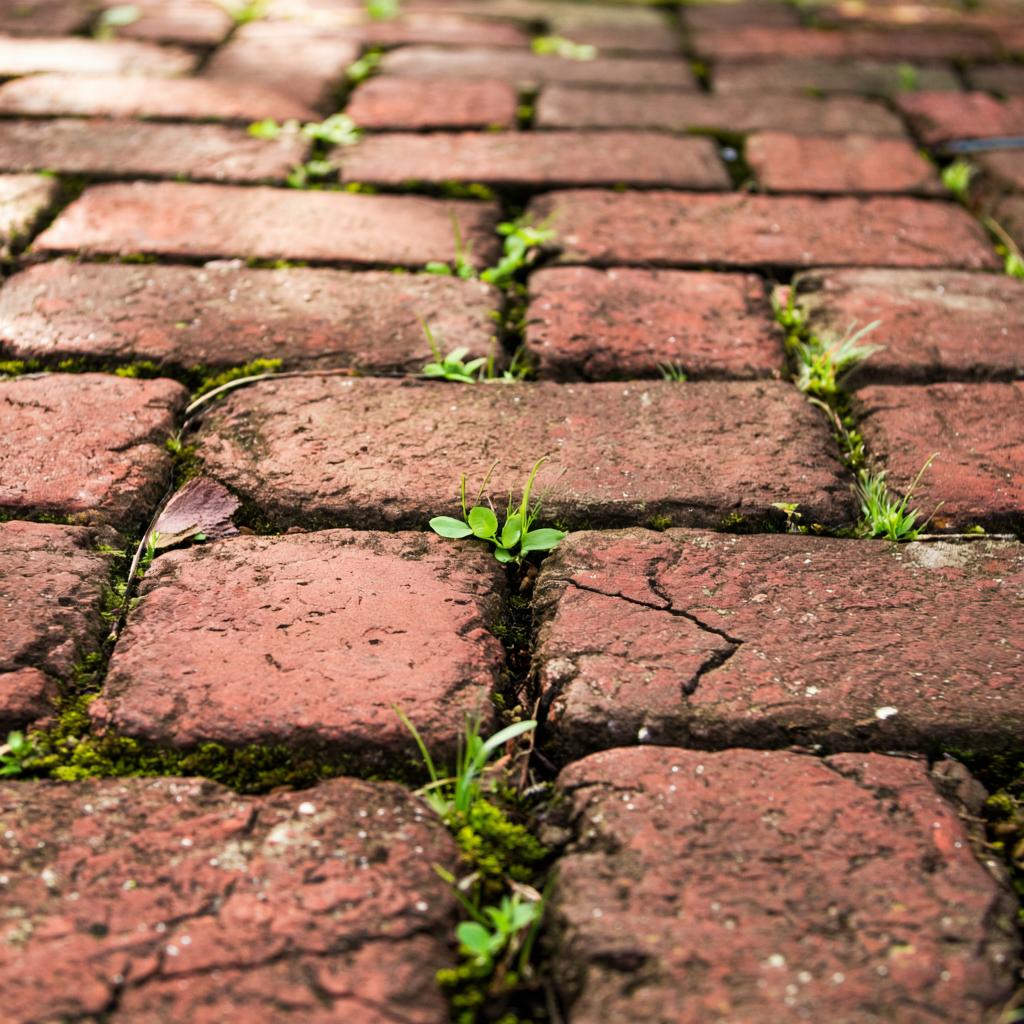 Плитка для дорожек: практичность и эстетика в ландшафтном дизайне
