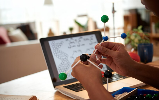 Курсы биологии и химии онлайн — эффективное изучение естественных наук