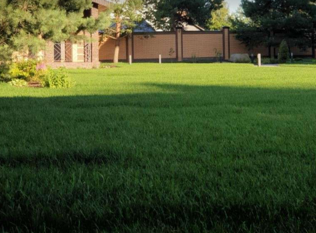 Ландшафт для души: искусство создания гармоничного пространства