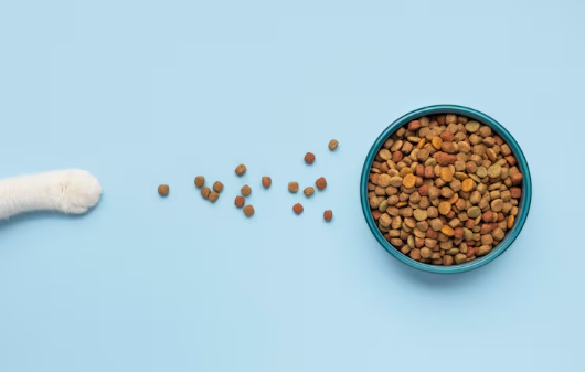 Как подобрать оптимальный сухой корм для кошки: ключевые критерии выбора