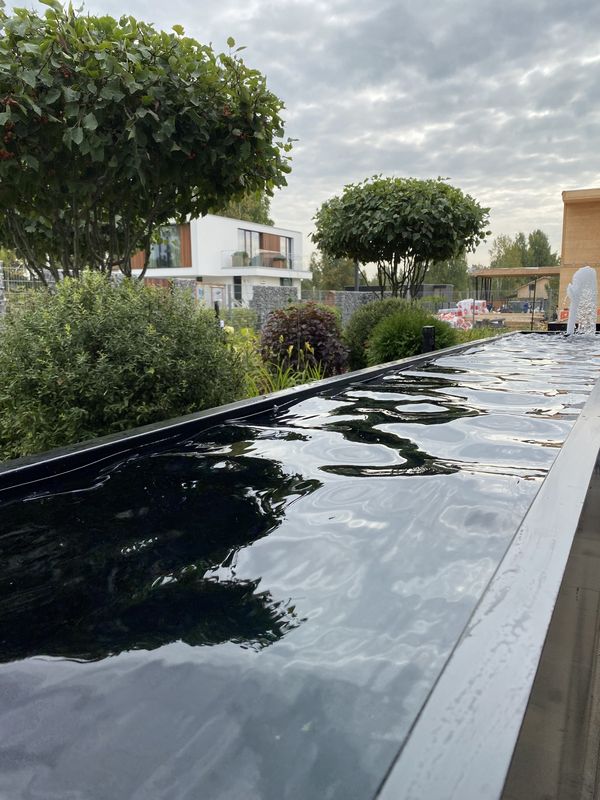 Почему стоит доверить свой сад профессионалам: преимущества обращения в студию ландшафтного дизайна